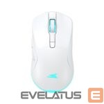 Datora pele Baracuda  BGM-122 Turtle White 