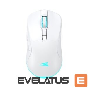 Datora pele Baracuda  BGM-122 Turtle White 