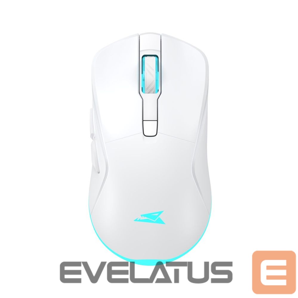 Datora pele Baracuda BGM-122 Turtle White