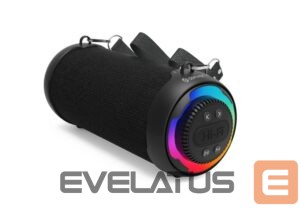 Bezvadu skaļrunis Denver  BTG-213 