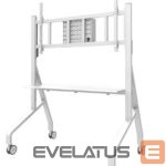 Televizoriai ir jų priedai NEOMOUNTS  TV SET ACC FLOOR STAND 65-110"/FL50-575WH1 