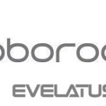 Tolmuimeja tarvik Roborock  VACUUM ACC WASHABLE FILTER/WH 8.02.0341 