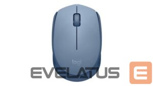 Computer mouse Logitech  MOUSE USB OPTICAL WRL M171/BLUE 910-006866 