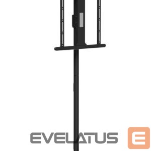 Telerite tarvikud Gembird  TV SET ACC FLOOR STAND 32-65"/SWIVEL TVS-65S-02 