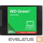 Cietais disks SSD Western Digital  SSD||Green|250GB|3D NAND|Read speed 545 MBytes/sec|2,5"|MTBF 2000000 hours|WDS250G5G0A 