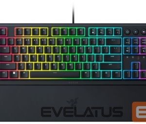 Computer keyboard Razer  Klaviatūra Razer Ornata V3 Tenkeyless Black 