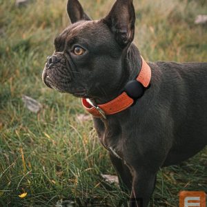 Back panel cover Hurtel  Apple AirTag Silicone Case for Dog or Cat Collar - Black 