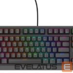 Computer keyboard Genesis  THOR 230 | Mechanical Gaming Keyboard | Wired | US | Black | USB Type-A | Outemu Red 