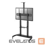Кронштейн для телевизора NEOMOUNTS  PLASMA-M1950E TV trolley - 60-100" - max 100 kg - manual h 134-166 cm - VESA 200x200-1000x600 - incl. cam/hardware shelf - black 