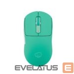 Kompiuterio pelė Fury  Gaming Mouse | Tanto T4 | Wired/Wireless | 2.4 GHz, Bluetooth, USB | Mint 