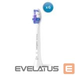 Dantų šepetėlis Philips  Replacement brush heads | HX6056/87 Sonicare Sensitive | Heads | For adults | Number of brush heads included 6 | White 