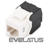 Converter Digitus  CAT 6A Keystone module, unshielded | DN-93606 