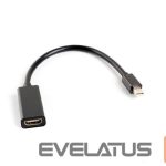 Laadija Lanberg  Adapter Cable DisplayPort Mini to HDMI, 20 cm | AD-0005-BK 