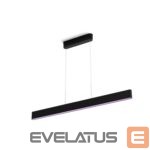 Stalinė lempa Philips Hue  Ensis pendant black 79W 24V | 79 W | White and Colour Ambiance 2000-6500K 
