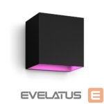 Desc lamp Philips Hue  WCA Resonate Outdoor Downward Wall Lantern, Black | 8 W | 2000-6500 Hue White Colour Ambiance 