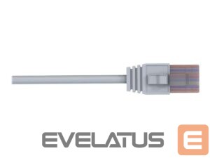 Parveidotājs Teltonika  Ethernet cable 1.5M | 