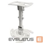 TV bracket EDBAK  | Projector Ceiling mount | PM3w-B | Height adjustment | Maximum weight (capacity) 15 kg | White 