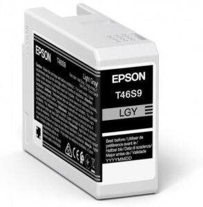 Printer accessories EPSON  UltraChrome Pro 10 ink T46S9 Ink cartrige, Light Gray 