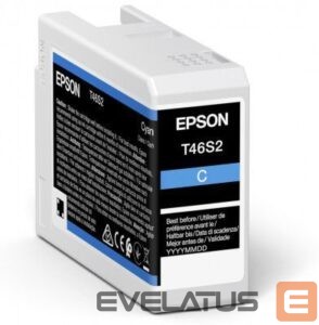 Printer accessories EPSON  UltraChrome Pro 10 ink T46S2 Ink cartrige, Cyan 