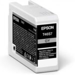 Aksesuāri un izejmateriāli EPSON  UltraChrome Pro 10 ink T46S7 Ink cartrige, Grey 