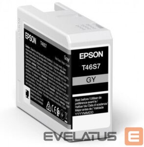 Printer accessories EPSON  UltraChrome Pro 10 ink T46S7 Ink cartrige, Grey 