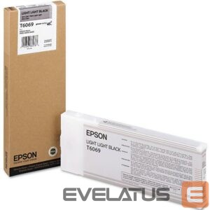 Printer accessories EPSON  T606900 Ink Cartridge, Light light Black 