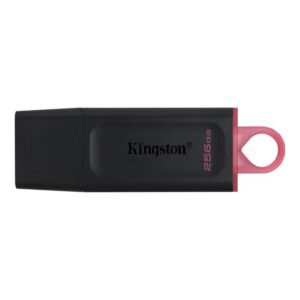 Zibatmiņa Kingston  MEMORY DRIVE FLASH USB3.2/256GB DTX/256GB 
