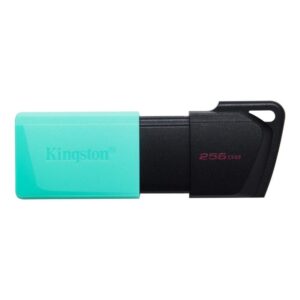 Zibatmiņa Kingston  MEMORY DRIVE FLASH USB3.2/256GB DTXM/256GB 
