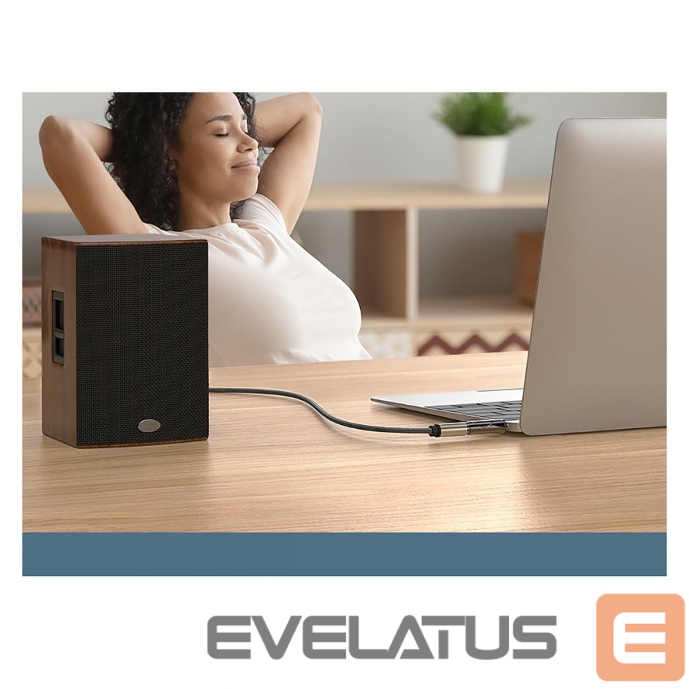 Üleminek Ugreen Ugreen adapter 3.5mm audio adapter (male) to 6.35mm mini jack (female) gray (AV168) Grey