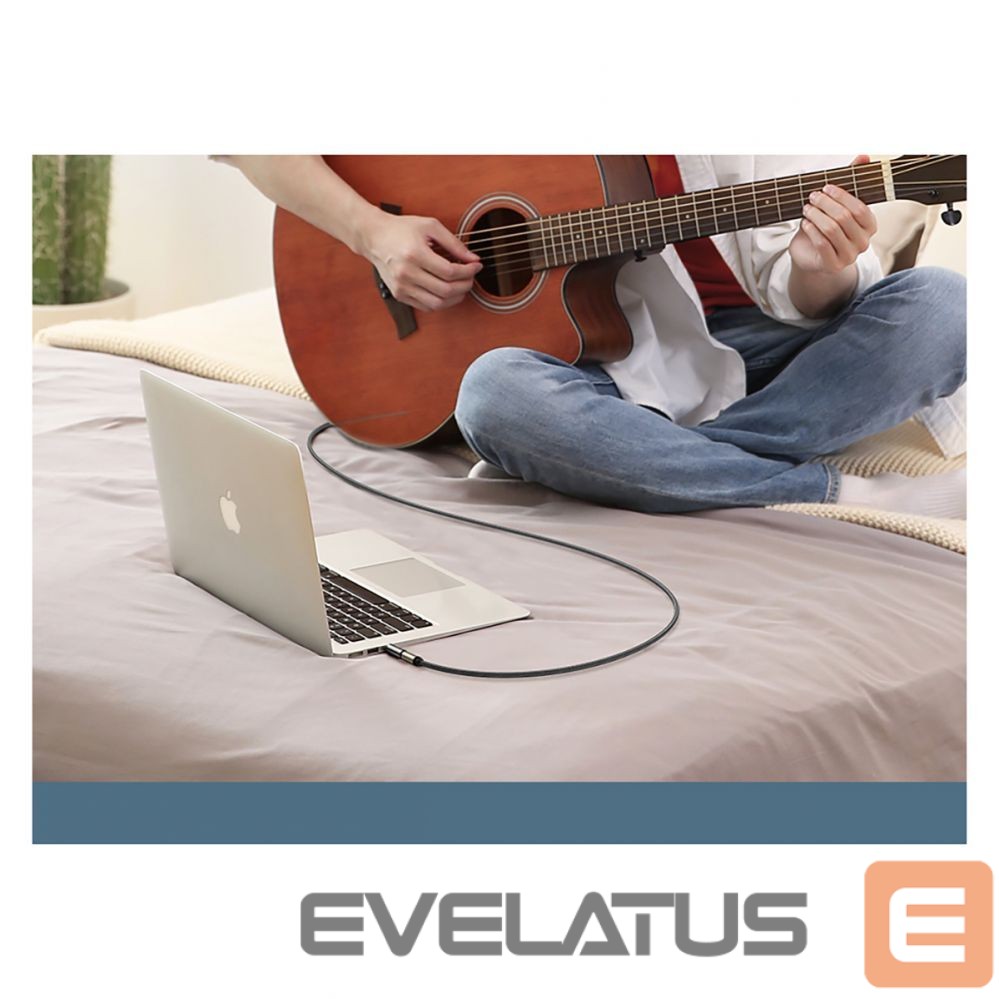 Üleminek Ugreen Ugreen adapter 3.5mm audio adapter (male) to 6.35mm mini jack (female) gray (AV168) Grey