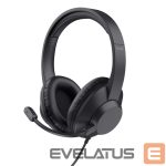 Laidinės ausinės Trust  HEADSET AYDA MAX USB/25461 