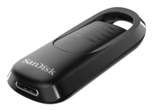 Mälupulk SANDISK BY WESTERN DIGITAL  MEMORY DRIVE FLASH USB-C 256GB/SDCZ480-256G-G46 