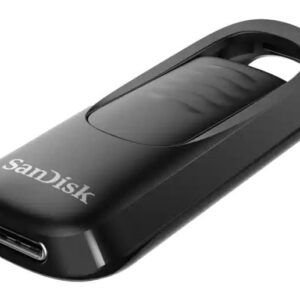 Mälupulk SANDISK BY WESTERN DIGITAL  MEMORY DRIVE FLASH USB-C 256GB/SDCZ480-256G-G46 