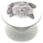 Citas preces Popsockets  Popsockets 2 Cat Nap Holder and Phone Stand 