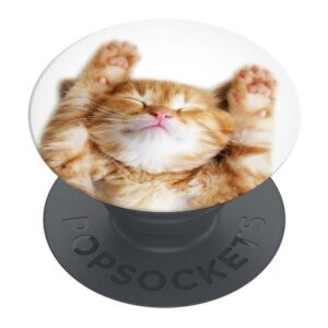 Citas preces Popsockets  Popsockets 2 Snoozy Cat Holder and Phone Stand 