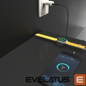 Kabelis Dudao  Dudao A12MaxC PD60W 2-in-1 Charger for Apple Watch / USB-C - Black 