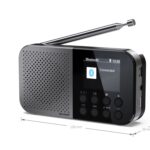 Interaktiivne lahendus Sharp  DR-P520(GY) OSAKA Pocket/Handheld Portable Digital Radio, Grey | 