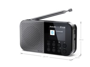 Interaktīvs risinājums Sharp  DR-P520(GY) OSAKA Pocket/Handheld Portable Digital Radio, Grey | 