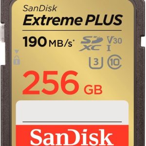 Другой аксессуар для компьютера SANDISK BY WESTERN DIGITAL  MEMORY SDXC 256GB UHS-1/SDSDXWV-256G-GNCIN SANDISK 