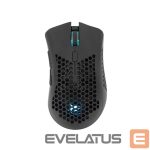 Datora pele White Shark  WGM-5012 Lionel Black 