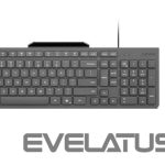 Arvuti klaviatuur Lenovo  Accessories 310 USB-A Wired Combo - US English |  Keyboard and Mouse | Wired with Phone holder | EN 
