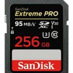 Kitas kompiuterio priedas SANDISK BY WESTERN DIGITAL  MEMORY SDXC 256GB UHS-1/SDSDXXD-256G-GN4IN SANDISK 