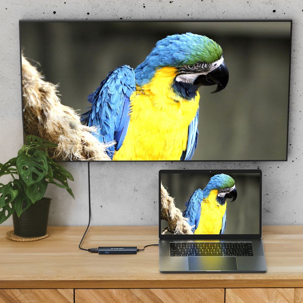 Üleminek Wozinsky USB-C 6 in 1 Hub Wozinsky WHBC10Y4S Multifunctional, Aluminum, with 25 cm Cable - Gray