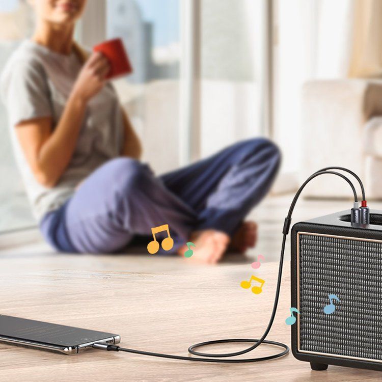 Cable Ugreen Ugreen audio cable USB Type C (male) - 2RCA (male) 1.5m gray (20193 CM451)