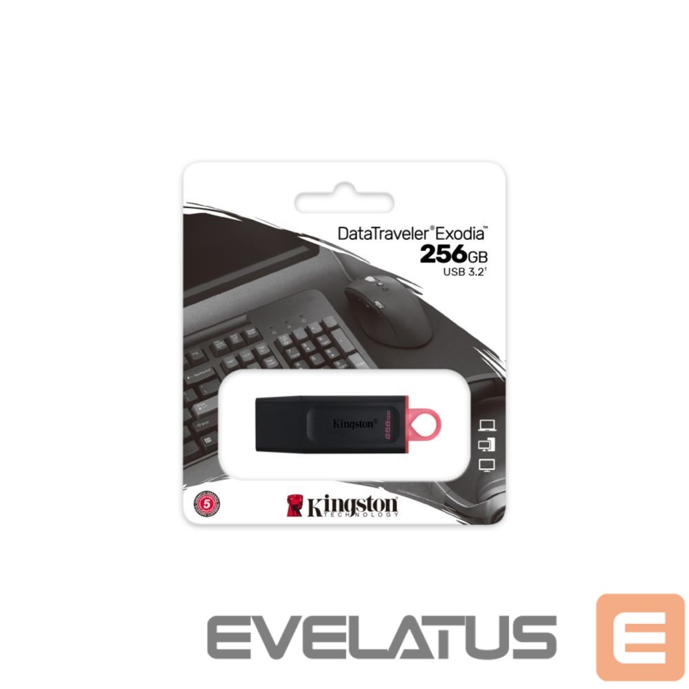 Other Kingston Kingston pendrive 256GB USB 3.2 DT Exodia