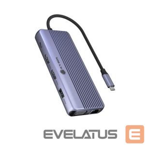 Juhtmevabad kõrvaklapid Raidsonic  Icy Box Travel Dock 12-in-1, 3x Videoausgabe (2x HDMI + 1x VGA) 