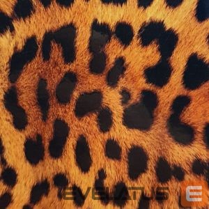 Protective film Evelatus Universal Leopard Colorful Film for Screen Cutter 
