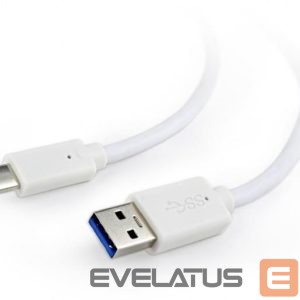 Cable Gembird  CABLE USB-C TO USB3 0.1M WHITE/CCP-USB3-AMCM-W-0.1M 