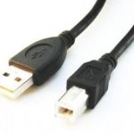 Kaabel Gembird  CABLE USB2 AM-BM 1.8M/CCP-USB2-AMBM-6 