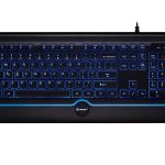 Arvuti klaviatuur Tracer  46473 Office PRO USB Black